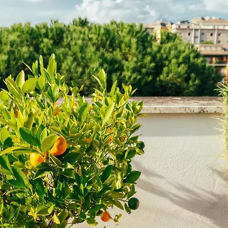 Sunset Appartement *